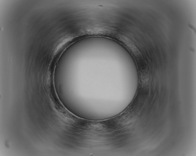 X0000098130583200804241652