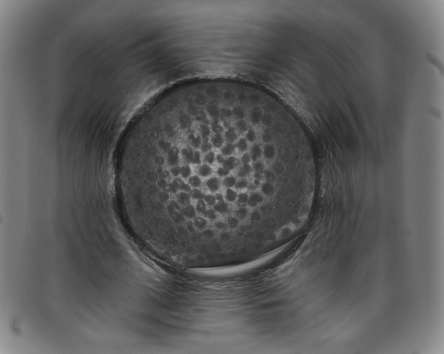 X0000098130584200804241652
