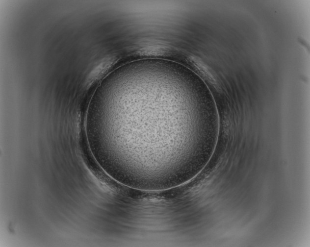 X0000098130586200804241652