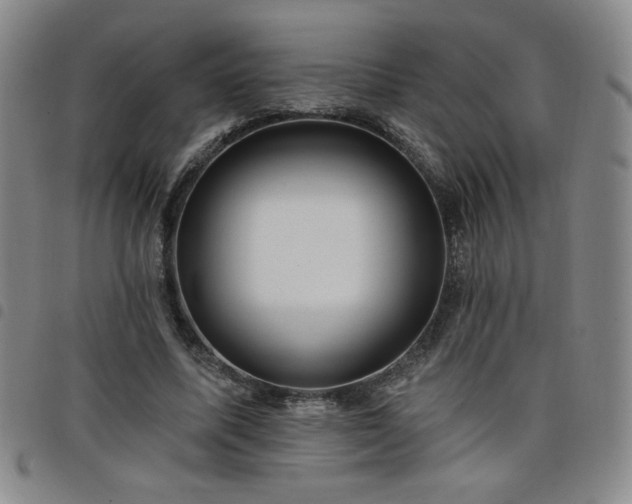 X0000098130587200804241652
