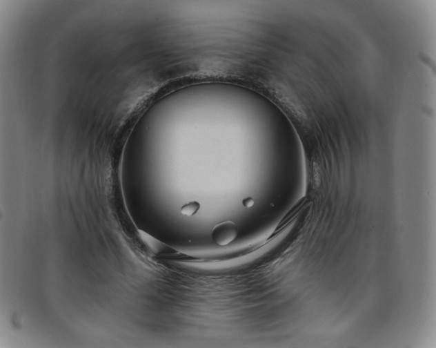X0000098130588200804241652