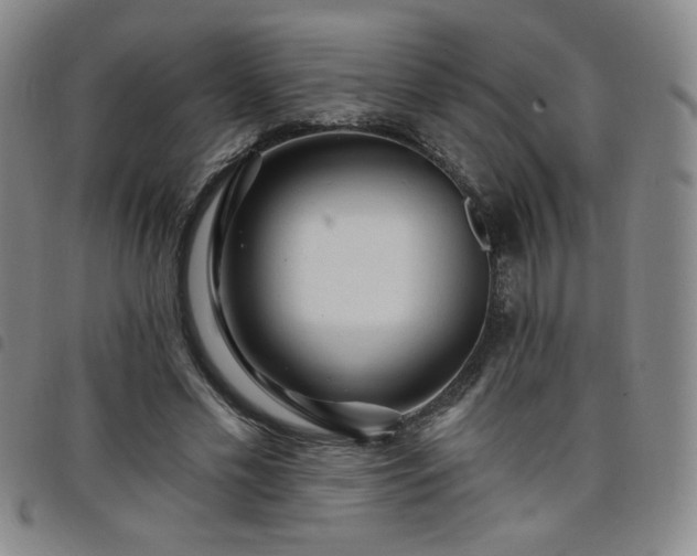 X0000098130589200804241652