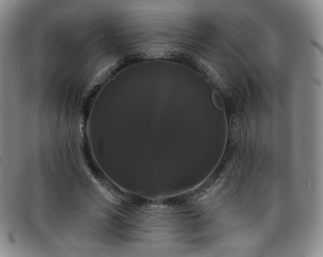X0000098130590200804241652