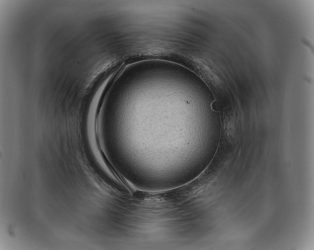 X0000098130591200804241652