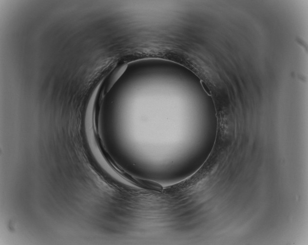 X0000098130593200804241652