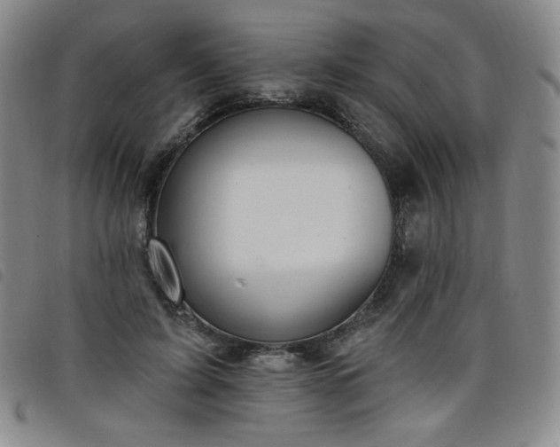 X0000098130595200804241651
