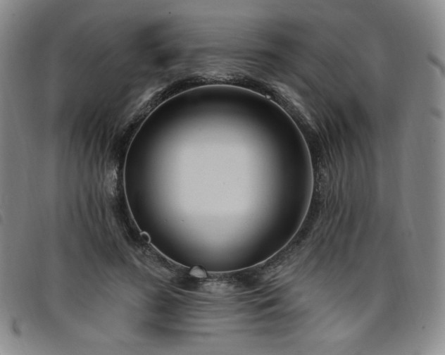 X0000098130596200804241651