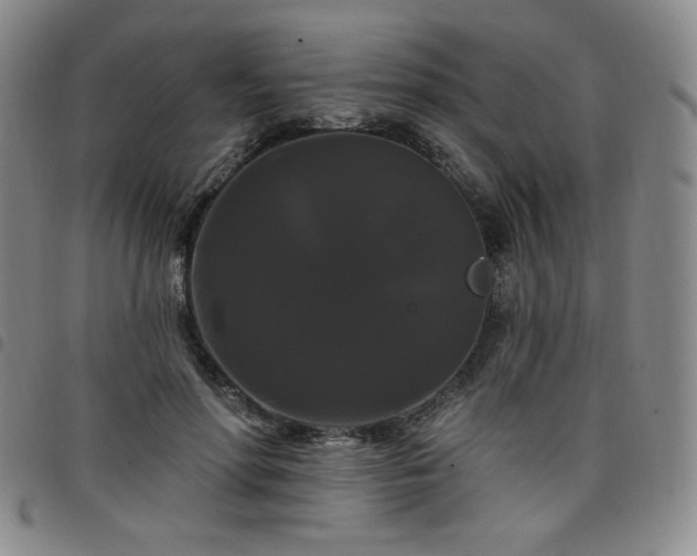 X0000098130598200804241651