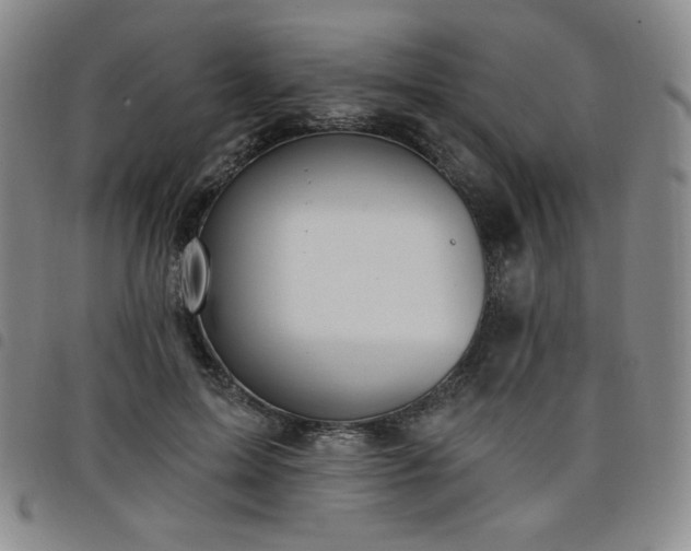 X0000098130599200804241651