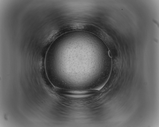 X0000098130600200804241651