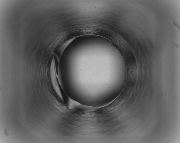 X0000098130601200804241651