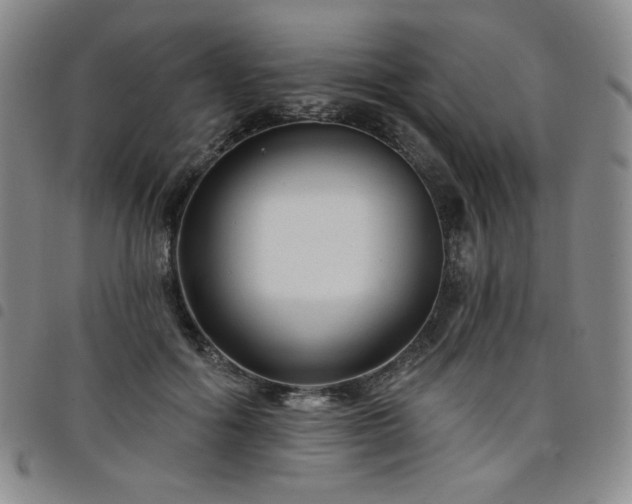 X0000098130602200804241651