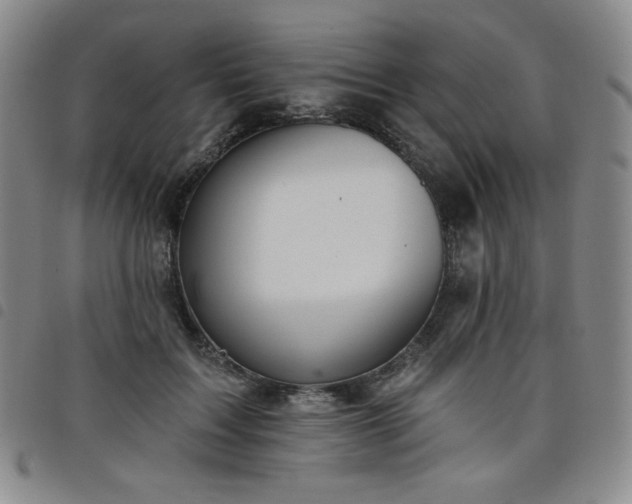 X0000098130603200804241651