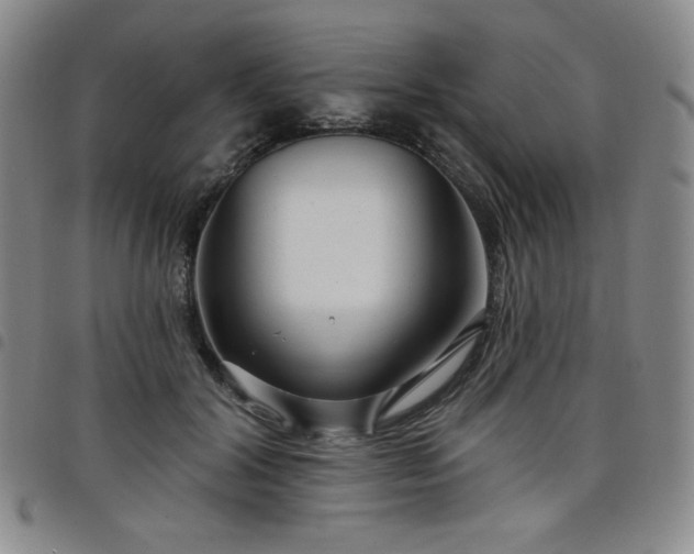 X0000098130604200804241651
