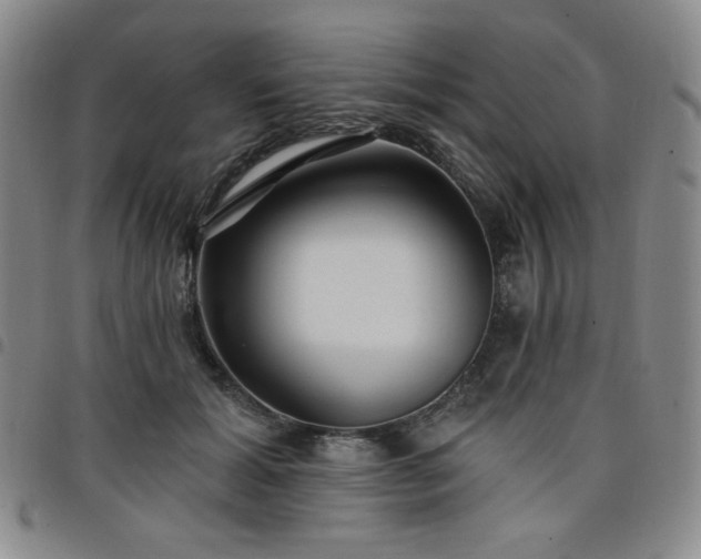 X0000098130605200804241651