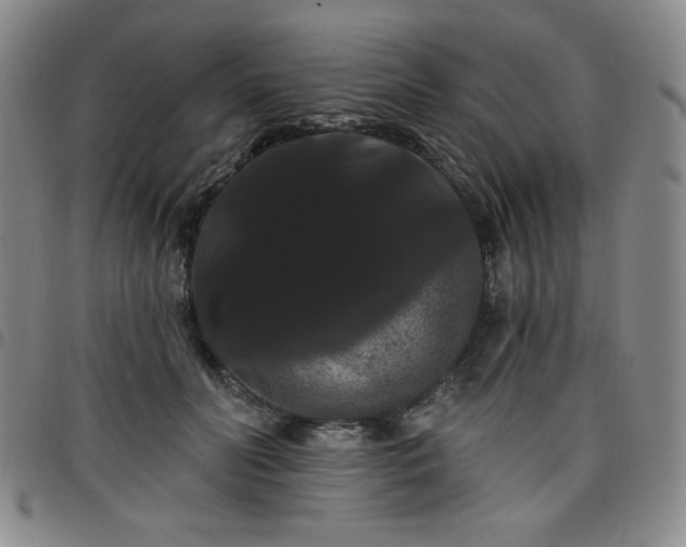X0000098130606200804241651