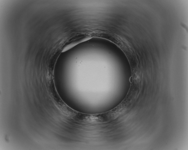 X0000098130607200804241651