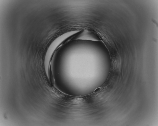 X0000098130609200804241651