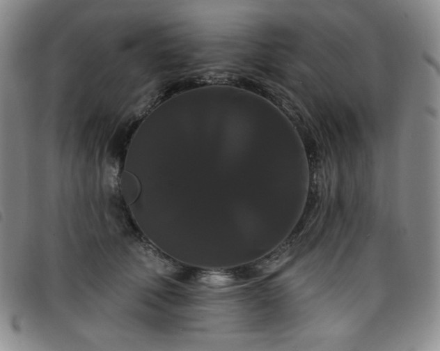 X0000098130610200804241651