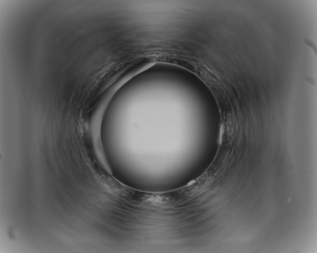 X0000098130611200804241651
