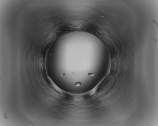 X0000098130612200804241651