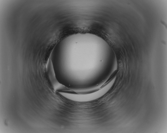 X0000098130613200804241651