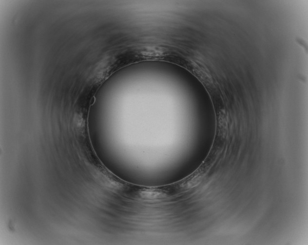 X0000098130614200804241651