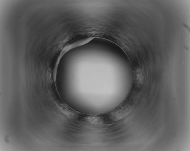 X0000098130615200804241651
