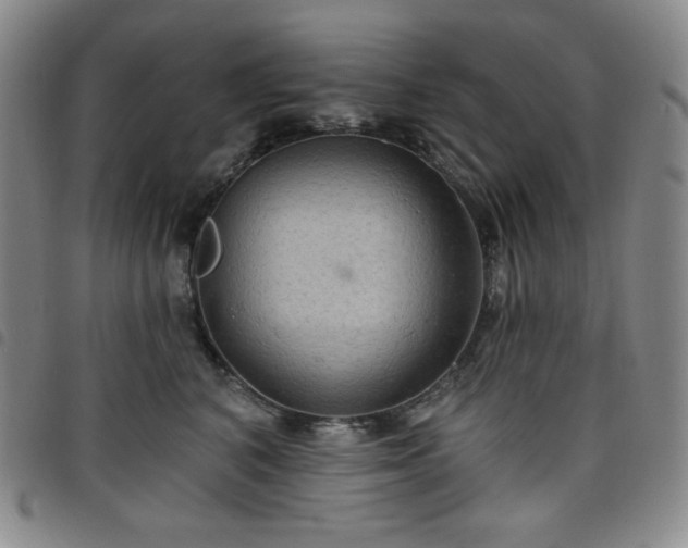 X0000098130616200804241651