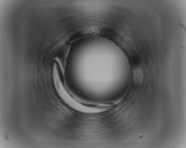 X0000098130617200804241651