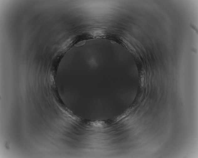 X0000098130618200804241651