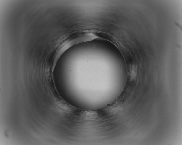 X0000098130619200804241651
