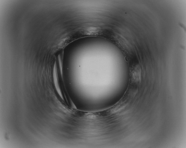 X0000098130620200804241651