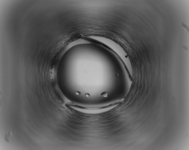 X0000098130621200804241651