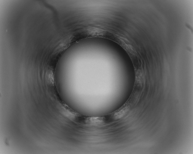 X0000098130622200804241651