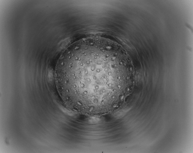 X0000098130623200804241651