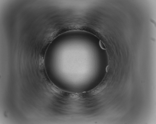X0000098130624200804241651