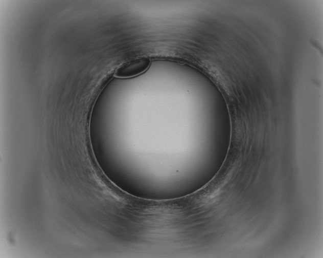 X0000098130625200804241650