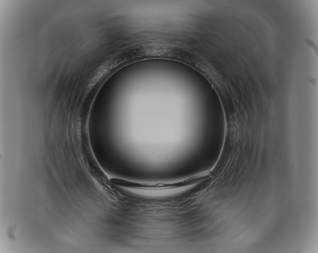 X0000098130626200804241650
