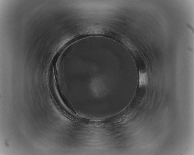 X0000098130627200804241650