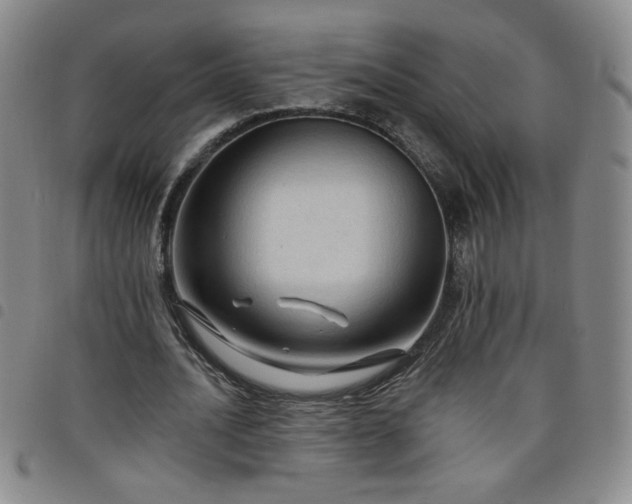 X0000098130628200804241650