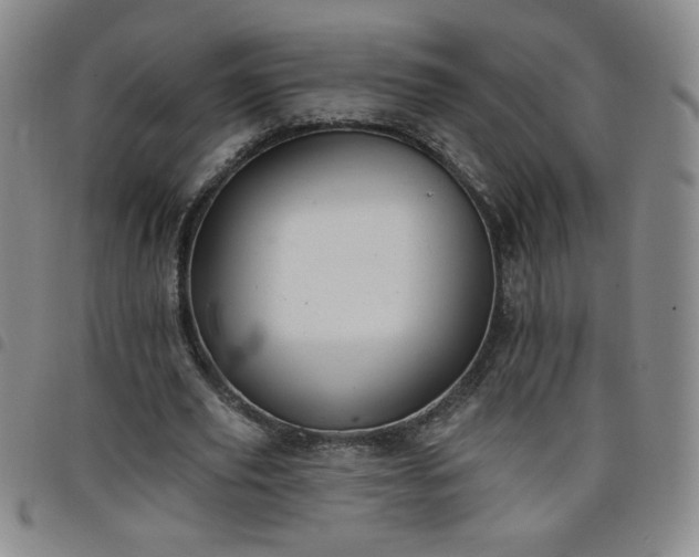 X0000098130629200804241650