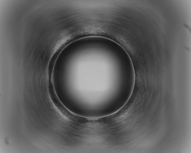 X0000098130630200804241650