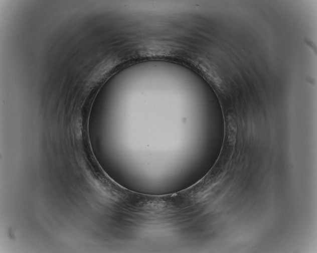 X0000098130631200804241650