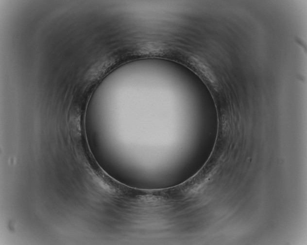 X0000098130633200804241651