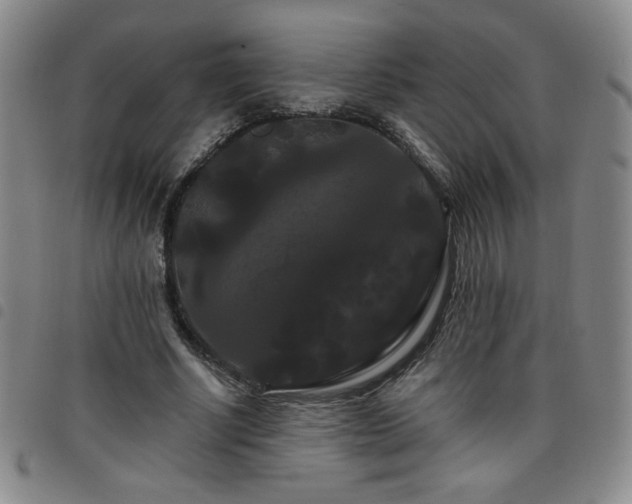 X0000098130634200804241651
