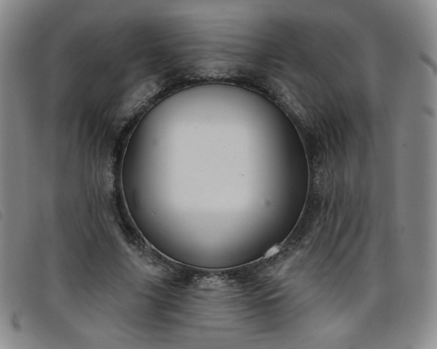 X0000098130635200804241651