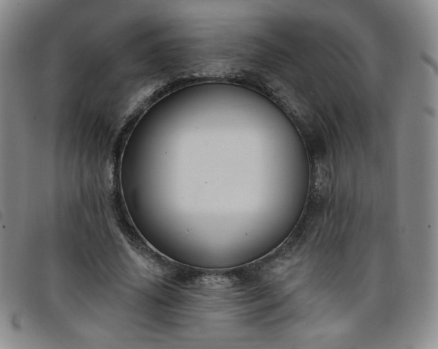 X0000098130636200804241651