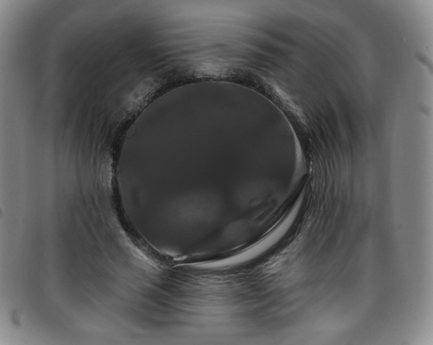 X0000098130637200804241651