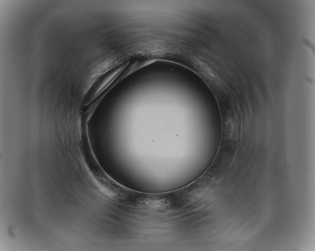 X0000098130638200804241651